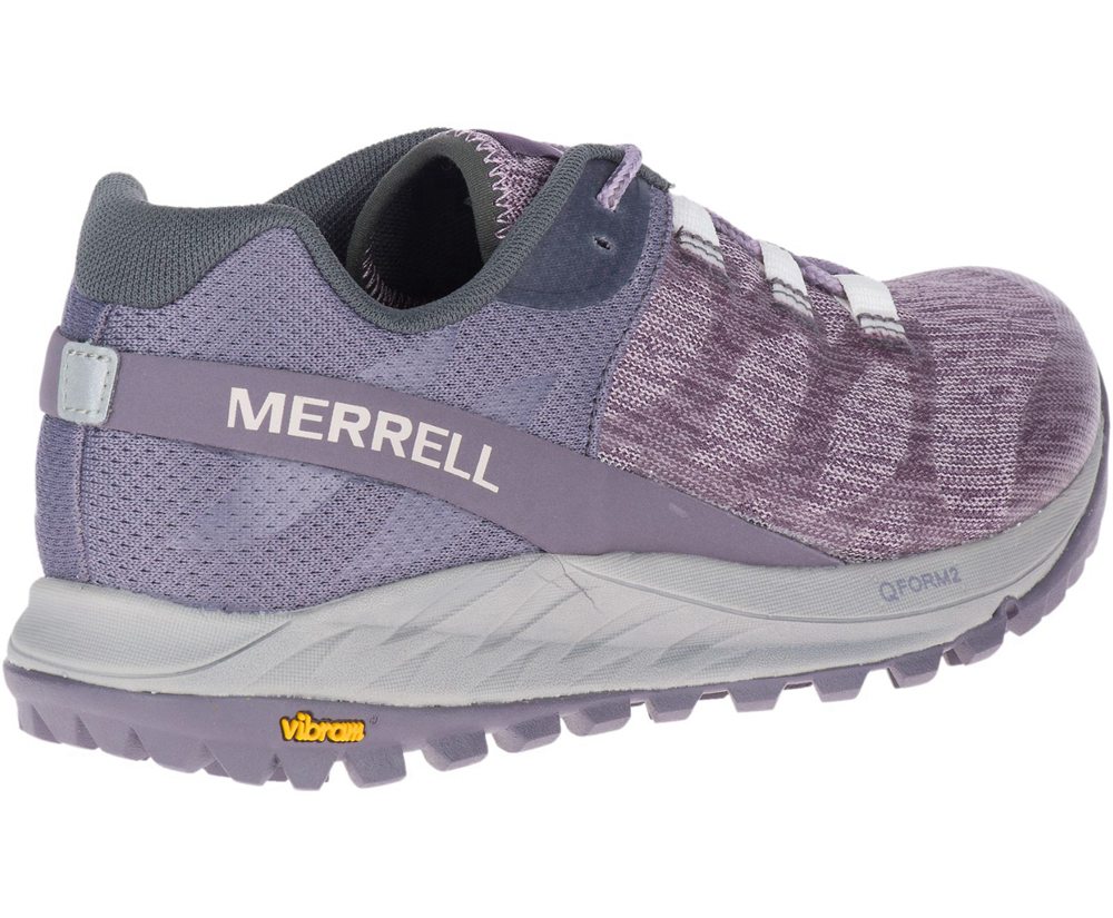 Buty Sportowe Merrell Damskie Fioletowe - Antora - 916837-REB